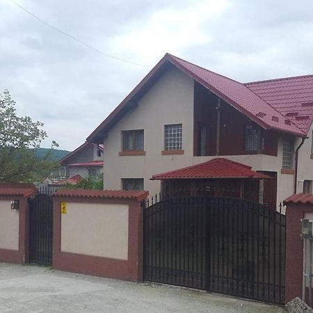 Vila De Vacanta Curtea de Argeş Exterior foto
