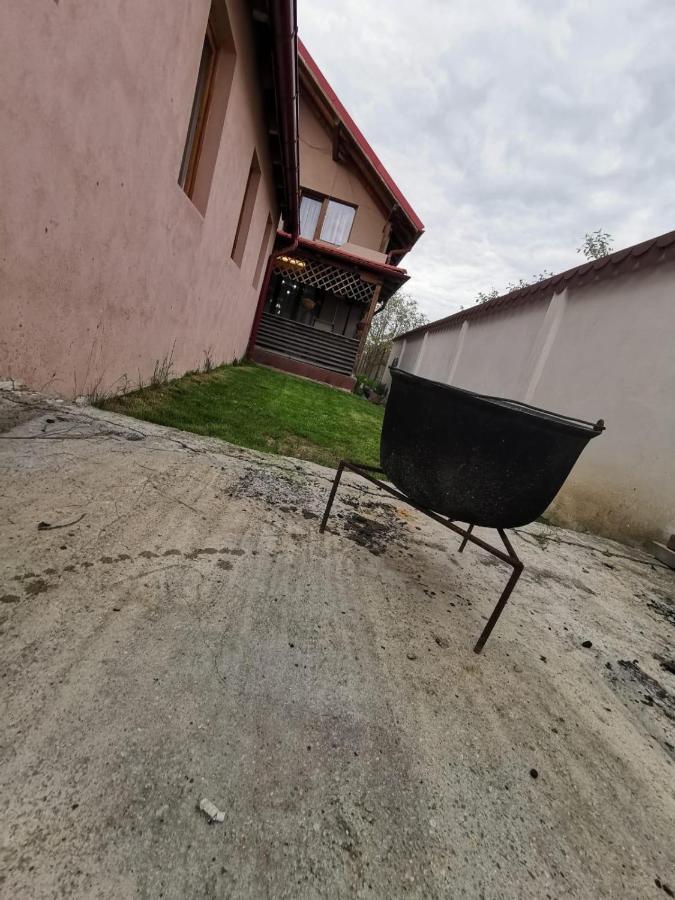 Vila De Vacanta Curtea de Argeş Exterior foto