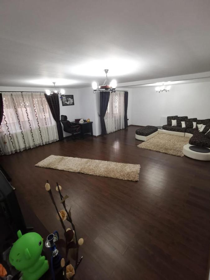 Vila De Vacanta Curtea de Argeş Exterior foto