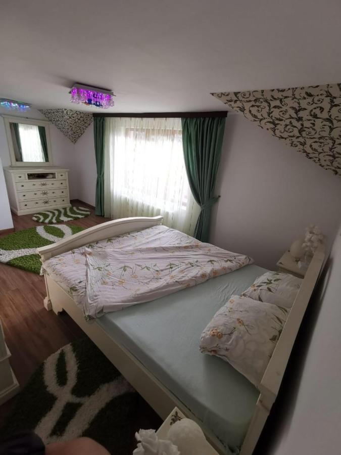 Vila De Vacanta Curtea de Argeş Exterior foto