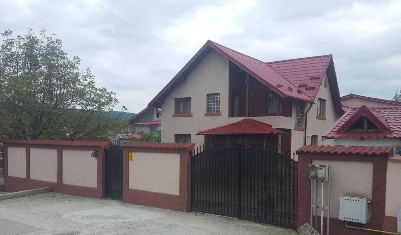 Vila De Vacanta Curtea de Argeş Exterior foto